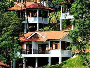 家庭住宅除湿茄子黄色电影