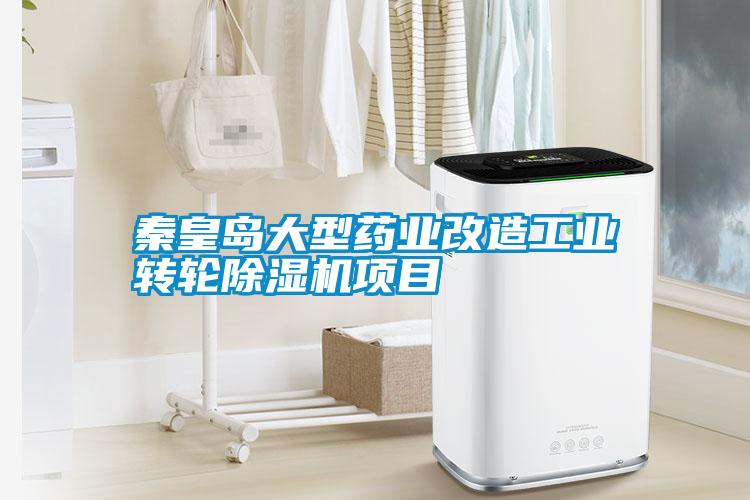 秦皇岛大型药业改造工业转轮茄子视频懂你更多在线观看项目