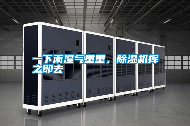 一下雨湿气重重，茄子视频懂你更多在线观看挥之即去