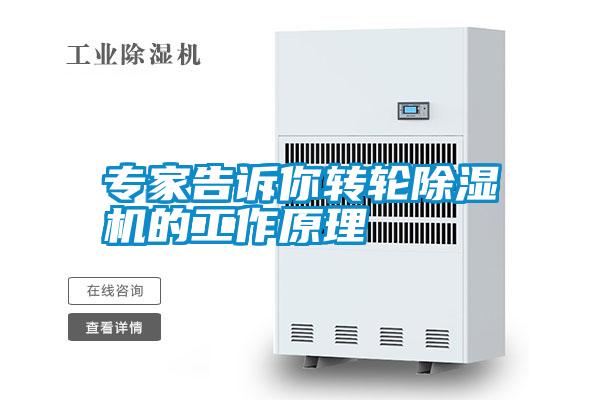 专家告诉你转轮茄子视频懂你更多在线观看的工作原理