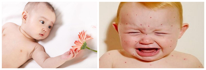 工业茄子视频懂你更多在线观看厂家