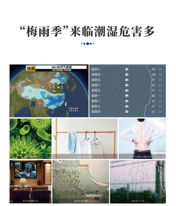 分析转轮茄子视频懂你更多在线观看