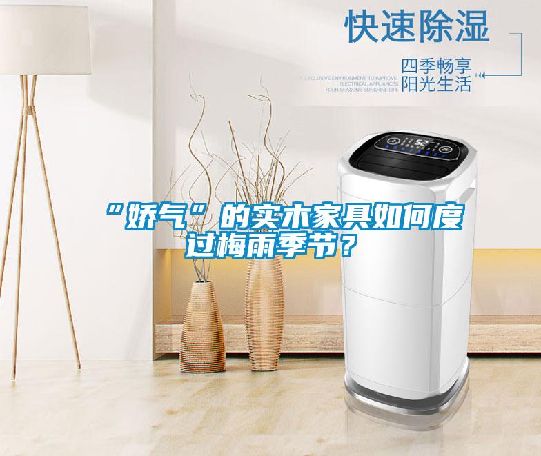 “娇气”的实木家具如何度过梅雨季节？