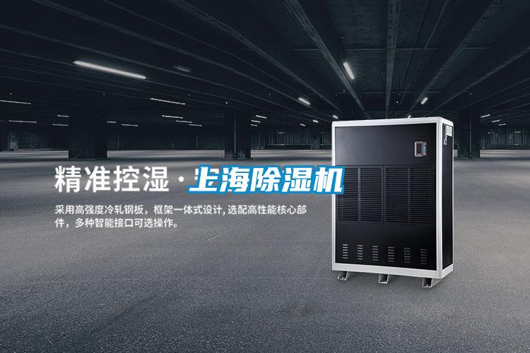 上海茄子视频懂你更多在线观看