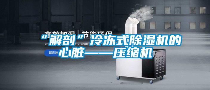 “解剖”冷冻式茄子视频懂你更多在线观看的心脏——压缩机