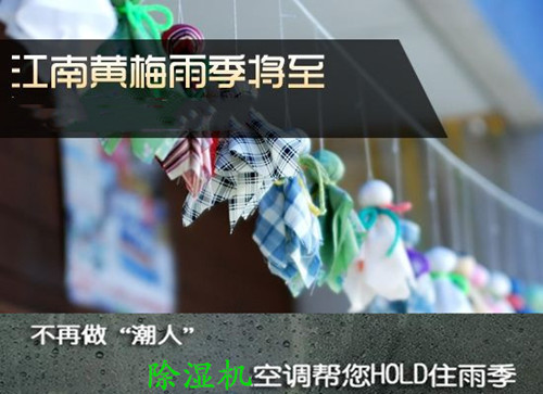 防潮茄子视频懂你更多在线观看