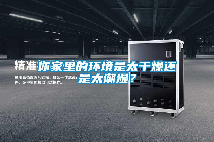 你家里的环境是太干燥还是太潮湿？