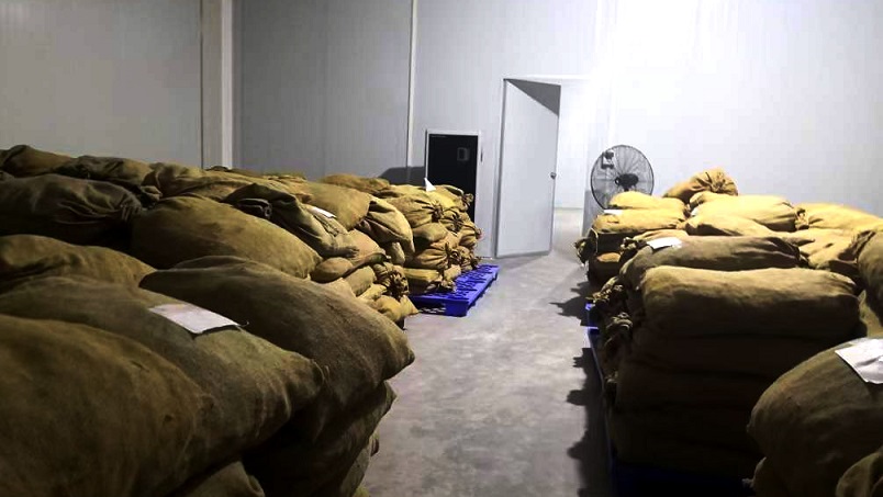 仓库茄子视频懂你更多在线观看在陈皮储存过程中的应用