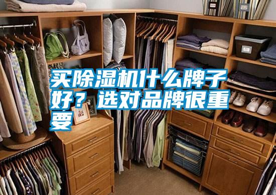 买茄子视频懂你更多在线观看什么牌子好？选对品牌很重要