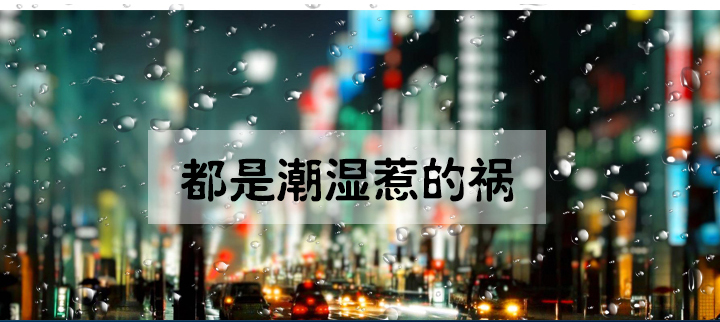 防潮茄子视频懂你更多在线观看