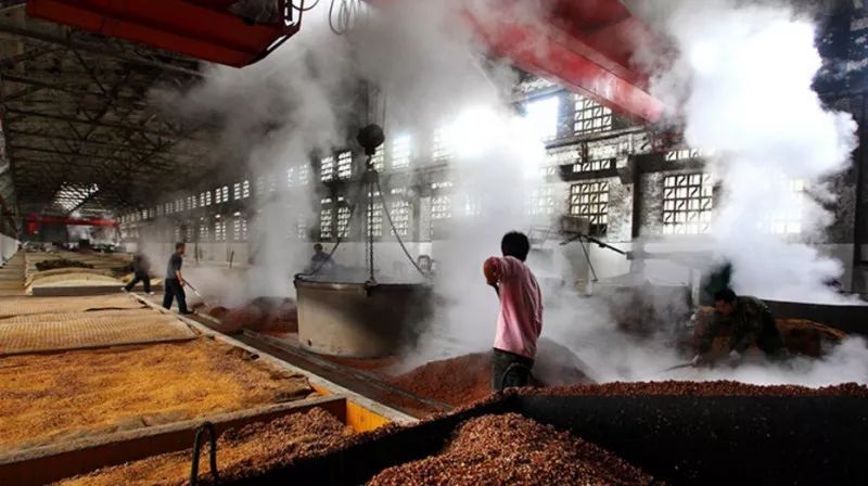 酿酒车间茄子视频懂你更多在线观看