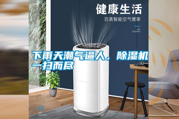 下雨天潮气逼人，茄子视频懂你更多在线观看一扫而尽