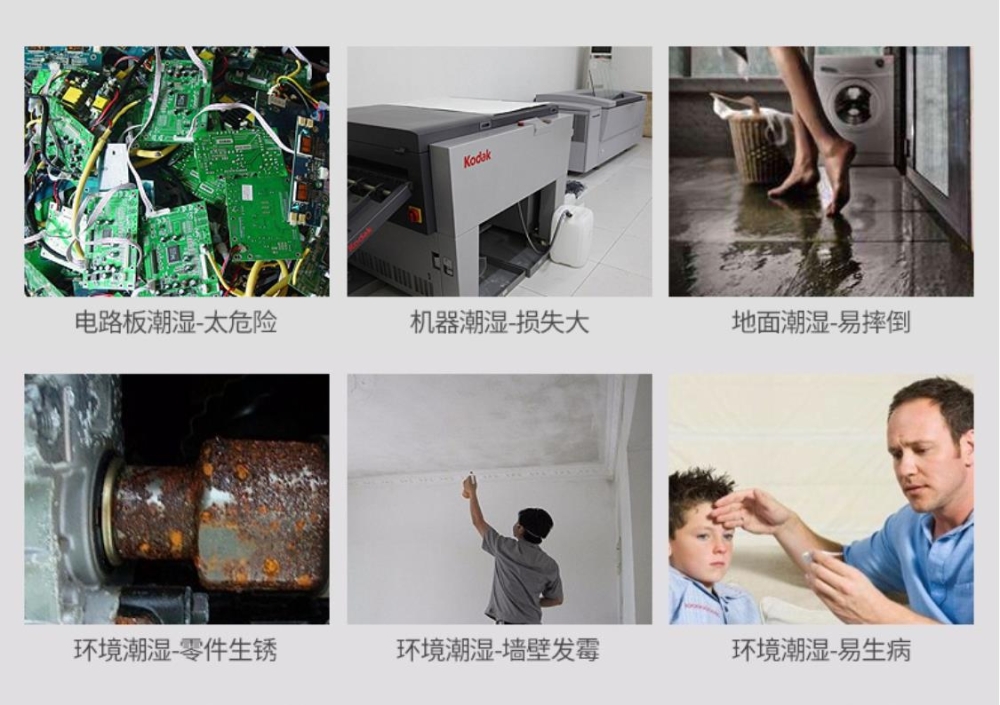 智能茄子视频懂你更多在线观看