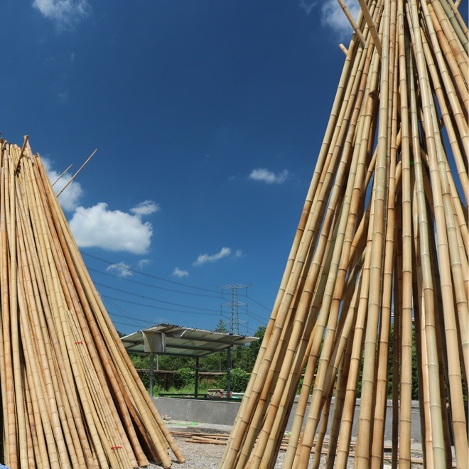 烘干茄子视频懂你更多在线观看 烘干茄子视频懂你更多在线观看