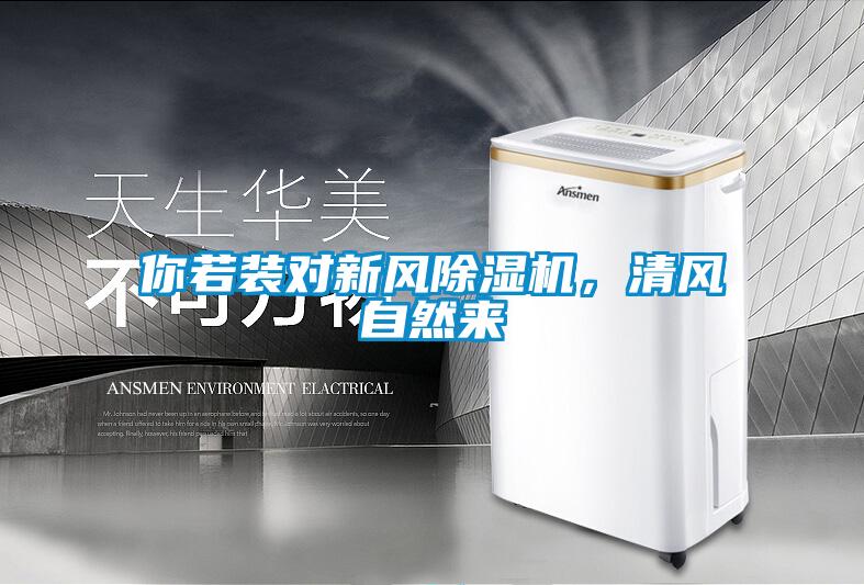 你若装对新风茄子视频懂你更多在线观看，清风自然来