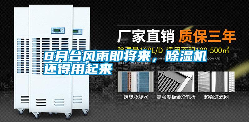 8月台风雨即将来，茄子视频懂你更多在线观看还得用起来