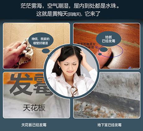 家庭别墅的地下室、卫生间、储物室等该如何除湿？