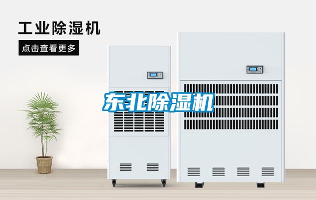 东北茄子视频懂你更多在线观看