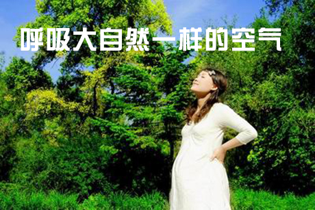 工业茄子视频懂你更多在线观看厂家