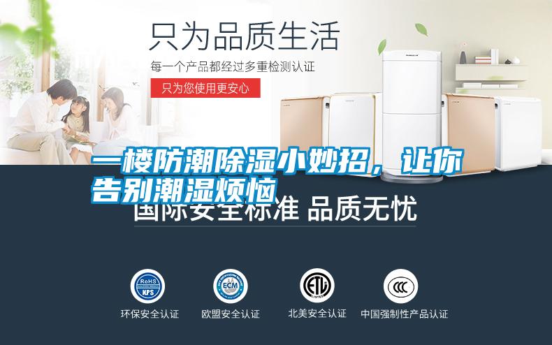 一楼防潮除湿小妙招，让你告别潮湿烦恼