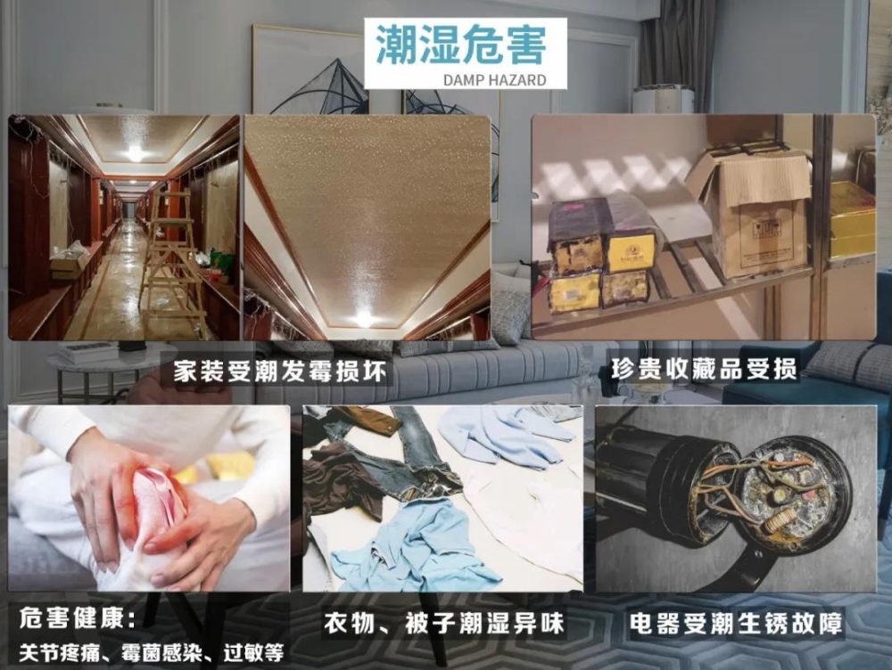 茄子视频懂你更多在线观看