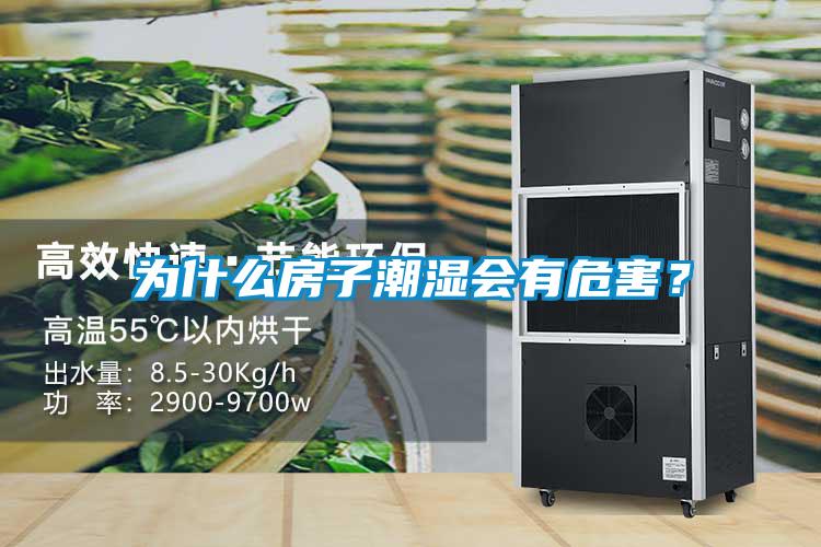 为什么房子潮湿会有危害？