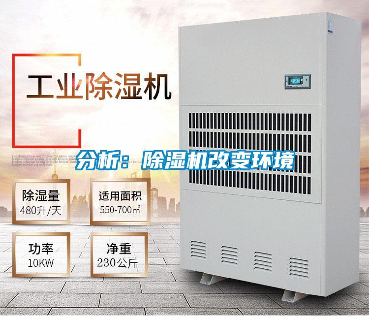 分析：茄子视频懂你更多在线观看改变环境