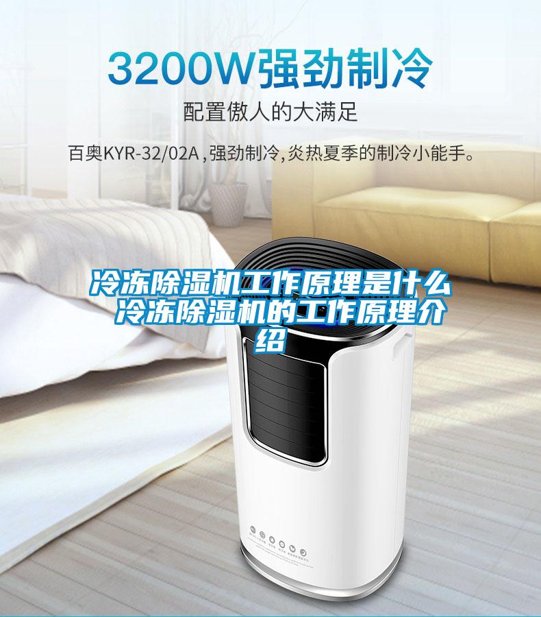 冷冻茄子视频懂你更多在线观看工作原理是什么 冷冻茄子视频懂你更多在线观看的工作原理介绍