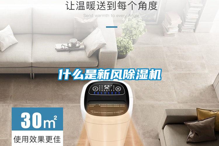 什么是新风茄子视频懂你更多在线观看