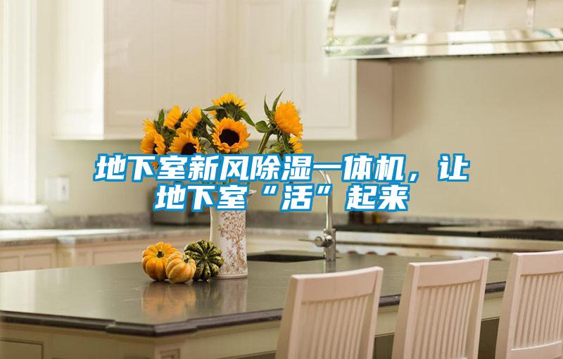 地下室新风除湿一体机，让地下室“活”起来