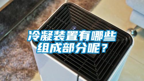 冷凝装置有哪些组成部分呢？