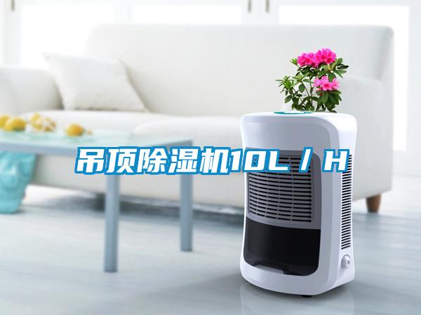 吊顶茄子视频懂你更多在线观看10L／H