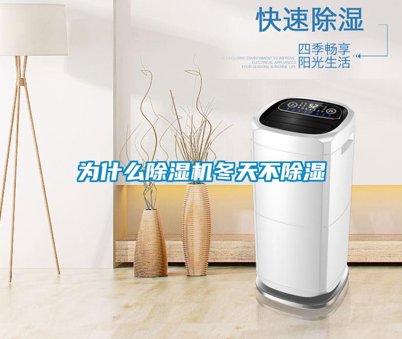 为什么茄子视频懂你更多在线观看冬天不除湿