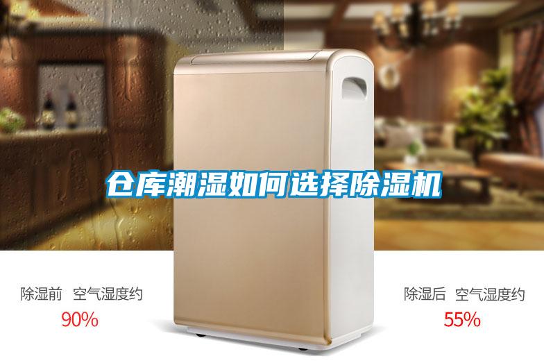 仓库潮湿如何选择茄子视频懂你更多在线观看