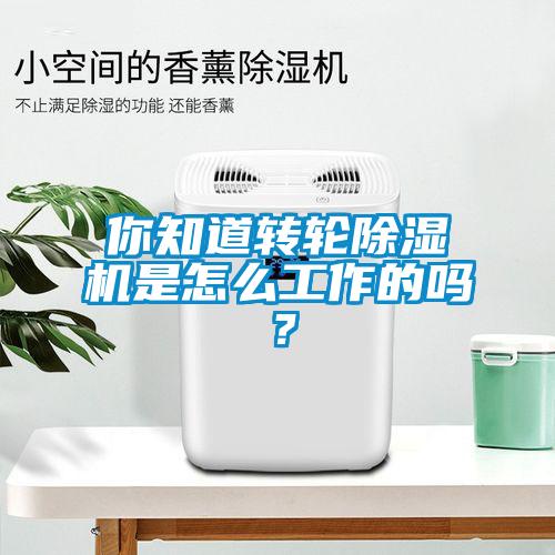 你知道转轮茄子视频懂你更多在线观看是怎么工作的吗？