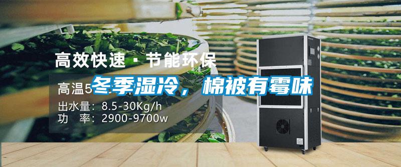 冬季湿冷，棉被有霉味