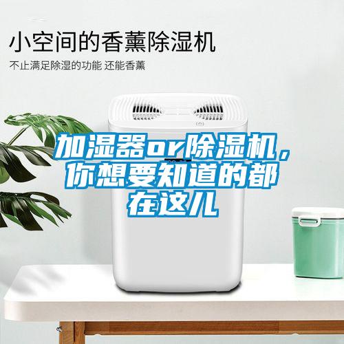 加湿器or茄子视频懂你更多在线观看，你想要知道的都在这儿