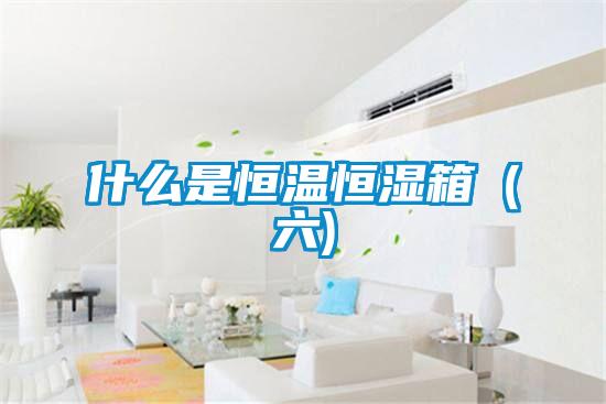 什么是恒温恒湿箱(六)