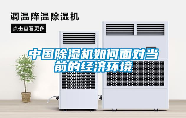 中国茄子视频懂你更多在线观看如何面对当前的经济环境