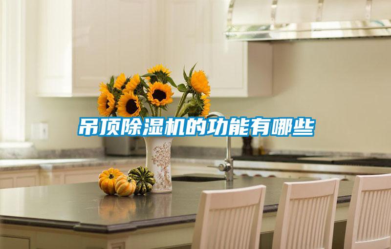 吊顶茄子视频懂你更多在线观看的功能有哪些