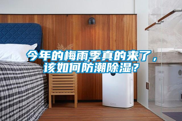 今年的梅雨季真的来了，该如何防潮除湿？