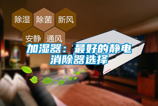加湿器：最好的静电消除器选择