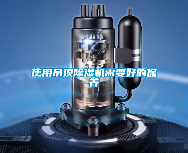 使用吊顶茄子视频懂你更多在线观看需要好的保养