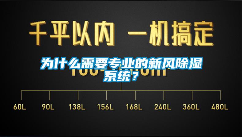 为什么需要专业的新风除湿系统？
