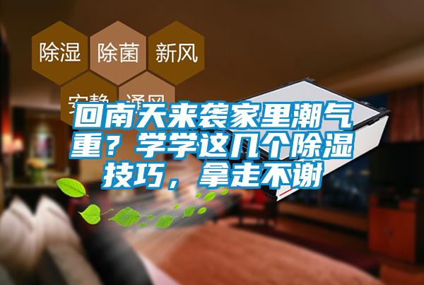 回南天来袭家里潮气重？学学这几个除湿技巧，拿走不谢
