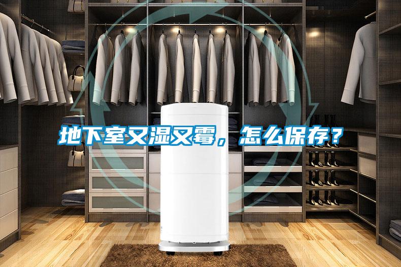 地下室又湿又霉，怎么保存？
