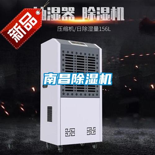 南昌茄子视频懂你更多在线观看