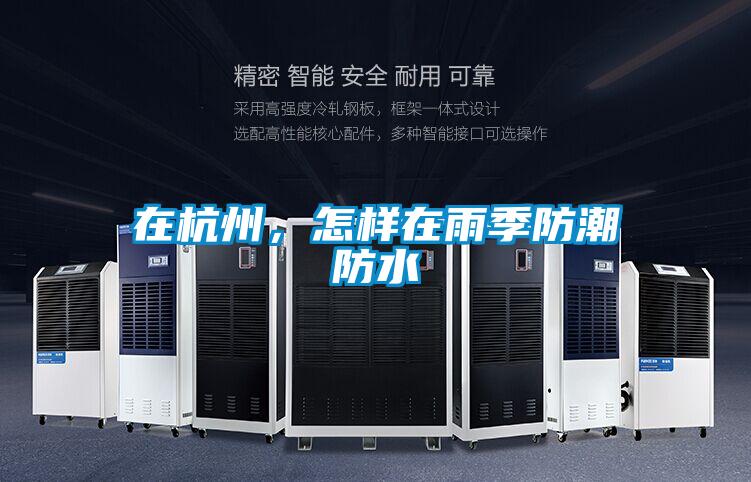 在杭州，怎样在雨季防潮防水