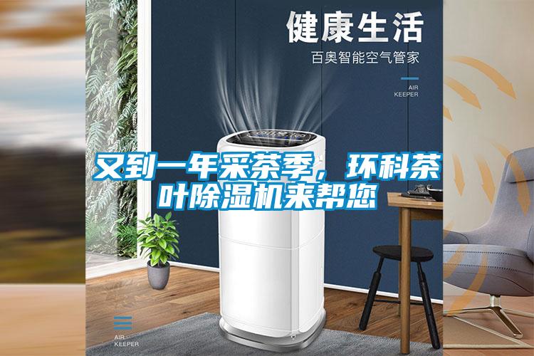 又到一年采茶季，环科茶叶茄子视频懂你更多在线观看来帮您