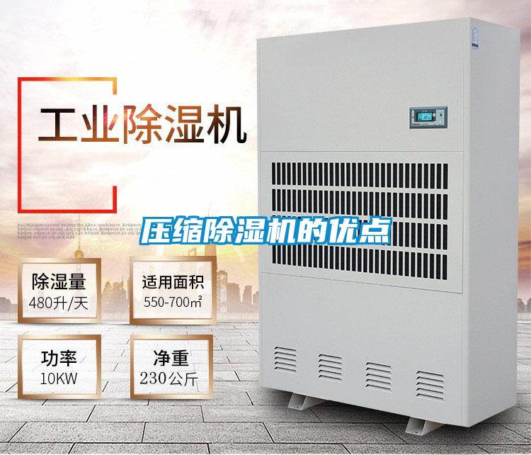 压缩茄子视频懂你更多在线观看的优点